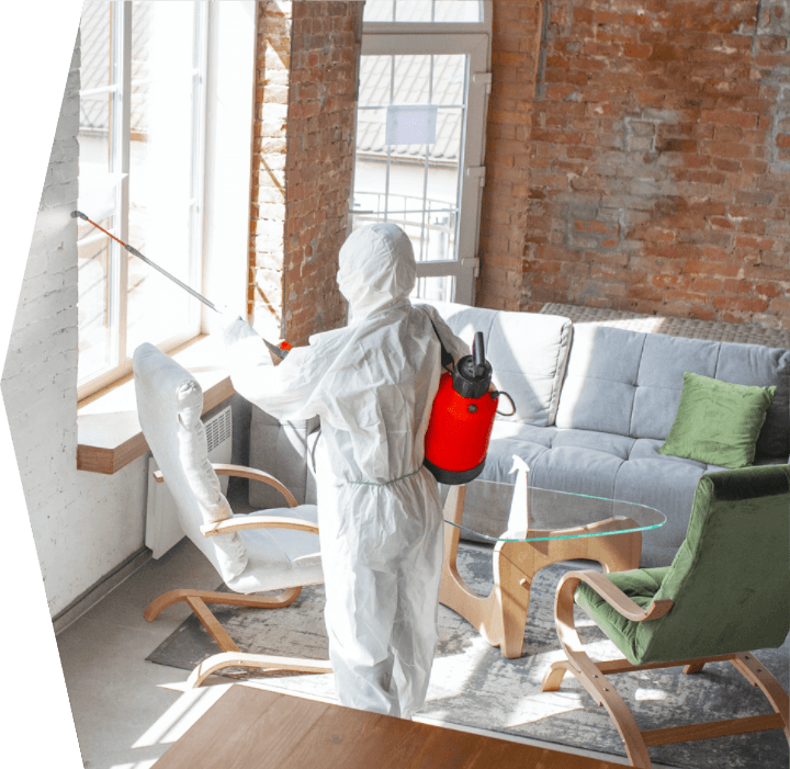 Man in hazmat suit spraying apartment